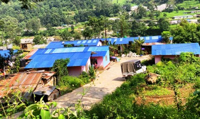  दसैँमा जमारा राखे अशुभ हुन्छ ठान्ने सीमान्तकृत समुदाय 